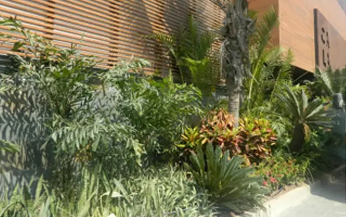 banner_alisson_corporacion